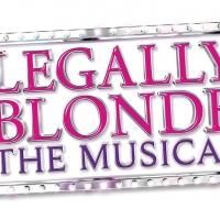 BWW Reviews: City Lights Theatre's LEGALLY BLONDE is Pink and Bubbly