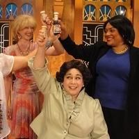 BWW Reviews: MENOPAUSE: THE MUSICAL at Dutch Apple Photo