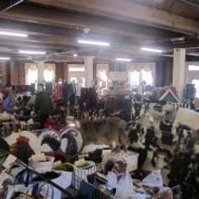 Second Annual Little York Fall Fiber Arts Festival Planned for October 12 & 13