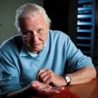 David Attenborough's RISE OF ANIMALS Premieres on Smithsonian Channel Tonight