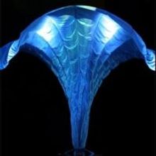 MOMIX Comes to the Mayo Center with BOTANICA Tonight