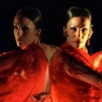 Flamenco Vivo Carlota Santana's Spring 2015 NYC Season at BAM Fisher Begins Tonight