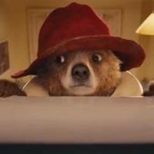 VIDEO: First Look - All-New Trailer for PADDINGTON