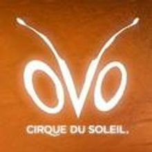 Cirque du Soleil Returns to Melbourne With OVO, Beginning Today