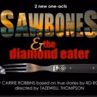 Tony Nominated Costume Designer Carrie Robbins Brings SAWBONES and THE DIAMOND EATER…