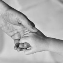 New Repertory Theatre to Stage STRONGER THAN THE WIND, 3/22-4/5