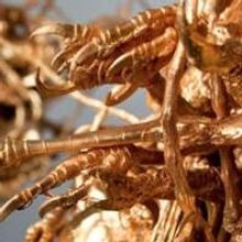 New Major Work Gifted to Art Gallery of South Australia