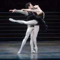 BWW Reviews: In American Ballet Theatre's SWAN LAKE the Show Must Go On Despite…