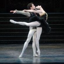 BWW Reviews: In American Ballet Theatre's SWAN LAKE the Show Must Go On Despite Injur