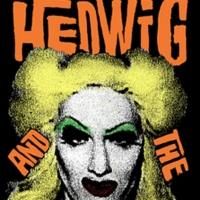 STG Season Shows On Sale Announcement: Hedwig and the Angry Inch and Jerry Springer…