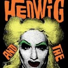 STG Season Shows On Sale Announcement: Hedwig and the Angry Inch and Jerry Springer: 
