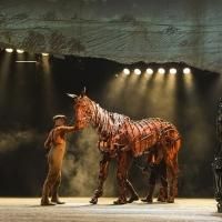 BWW Interviews: Michael Wyatt Cox of WAR HORSE