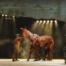 BWW Interviews: Michael Wyatt Cox of WAR HORSE