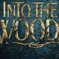 TV Watch Live: All the Stars of the INTO THE WOODS MOVIE Participate in Livestream…