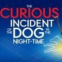 THE CURIOUS INCIDENT OF THE DOG IN THE NIGHT-TIME Will Transfer to West End's…