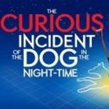 THE CURIOUS INCIDENT OF THE DOG IN THE NIGHT-TIME Will Transfer to West End's…
