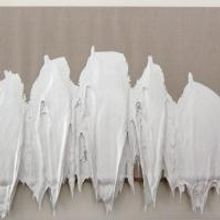Cleve Carney Art Gallery Opens 'Selection of Artworks from the Cleve Carney…