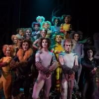 Photo Flash: First Look at Charles Azulay, Ma-Anne Dionisio & More in the Canadian…