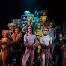 Photo Flash: First Look at Charles Azulay, Ma-Anne Dionisio & More in the Canadian Pr