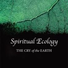 New Book Edited by Llewellyn Vaughan-Lee Examines the Need for a Spiritual Response t