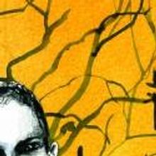 Amoralists Theatre Company Announces 2013 Season; Kicks Off With COLLISION, 1/10-2/17