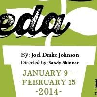 Rivendell Theatre Ensemble's RASHEEDA SPEAKING Begins World Premiere Tonight