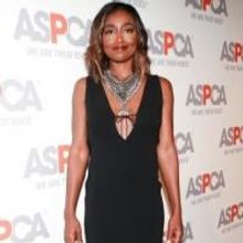 Photo Flash: Patina Miller, Edie Falco, Deborah Cox and More Attend 2015 ASPCA Bergh…