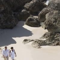 Popular 'Dine on Aruba' Program Returns To Promote Island's Flavorful Cuisine