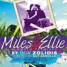 Purple Rose Theatre Co. Hosts Second Annual Backyard BBQ Today