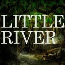 SALT Media Productions, LLC Releases 'Little River' by James L'Etoile