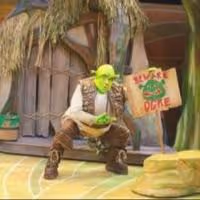 BWW Reviews: First Stage Sings 'Get Your Shrek On!'
