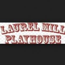 MUCH ADO ABOUT NOTHING Opens Tonight at Laurel Mill Playhouse