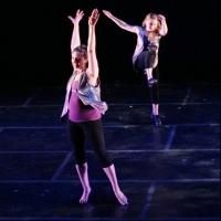 NOBODY'S BUSINESS, FUNK SWEET! and More Set for Undertoe Dance Project in New York…