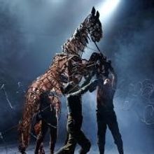 BWW Reviews: Horsing Around with WARHORSE