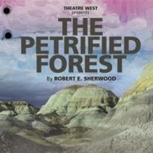 BWW Reviews: THE PETRIFIED FOREST is a Clever Mash-Up of a Love Story, Gangster Tale,