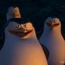 VIDEO: First Look - Trailer for Animated Comedy PENGUINS OF MADAGASCAR