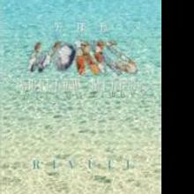 Rivuli Releases THE WORKS - SHALLOW WATERS