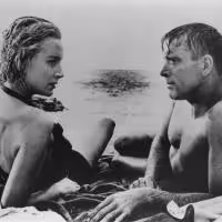 JAWS, CABARET, MY FAIR LADY, THE KID and More Set for 2015 CAPA Summer Movie Series