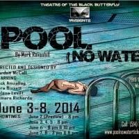Theatre of the Black Butterfly's POOL (NO WATER) Now Playing Through 6/8