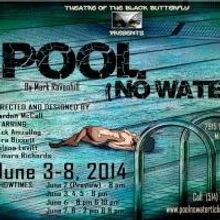 Theatre of the Black Butterfly's POOL (NO WATER) Now Playing Through 6/8