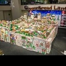Guinness World Record Winner GingerBread Lane to Give Away All 161 Houses and More…