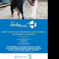 Lucky Dog Animal Rescue's The Lucky Ones to Premiere This Sunday, January 26