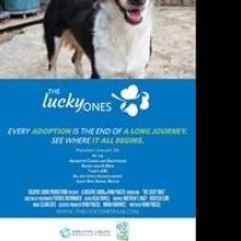 Lucky Dog Animal Rescue's The Lucky Ones to Premiere This Sunday, January 26