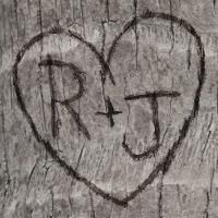 R+J Opens 11/20 at Paradise Factory