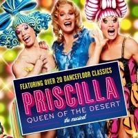 BWW Reviews: PRISCILLA QUEEN OF THE DESERT, Wolverhampton Grand, January 27 2014