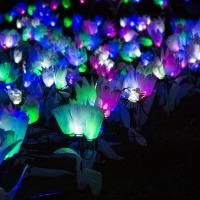 LIGHTSCAPES to Return to the Hudson Valley Next Month