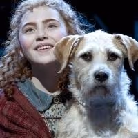 Lilla Crawford & More Take Final Bows in ANNIE Today