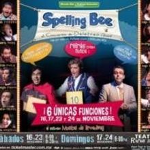 Spelling Bee México concluirá hoy su Segunda Temporada