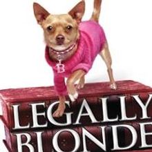 Pittsburgh CLO's LEGALLY BLONDE Opens Today