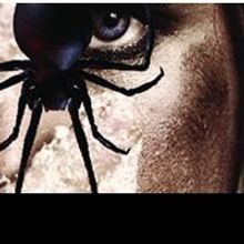BWW Reviews: DANCE OF THE WASP AND SPIDER Premieres at Capital Fringe